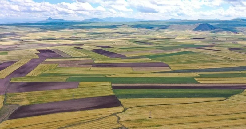 Ekilmeyen araziler için yeni adım: Yarın başlıyor! Devletten kiralık...