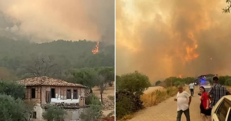 Denizli de başlayıp Aydın a sıçrayan yangın yeniden büyüdü! Evler yanmaya başladı