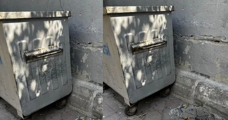 Çöp konteyneri yanında yanmış bebek cesedi bulundu