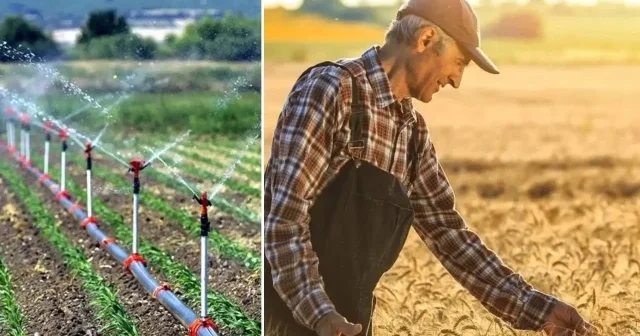 Tarımda yeni dönem: Resmi Gazete de yayımlandı Ekonomi Haberleri