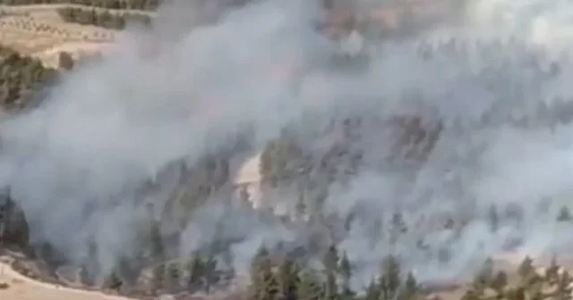 Denizli nin Pamukkale ilçesinde orman yangını çıktı VİDEO İZLE