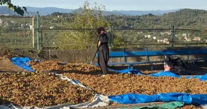 Türkoğlu, Üreticinin emeğini yok saymayın