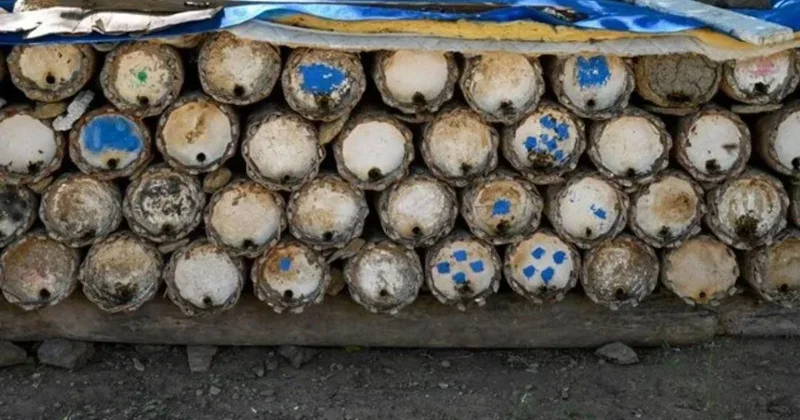 2700 rakımlı bölgede zorlu hasat başladı: 350 ton ürün bekleniyor Sözcü Gazetesi