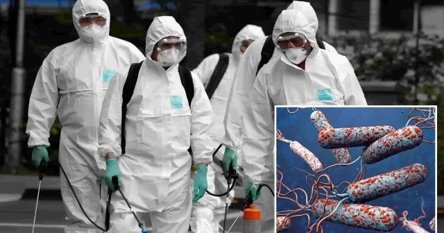 31 ülkede kolera salgını yayılıyor: DSÖ alarm verdi Dünya Haberleri